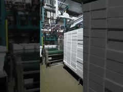 EPS moulding machine(automatic producing and packaging)
