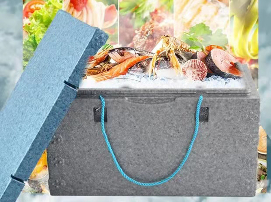 Fish Box EPP EPS Mould 6063 Aluminum Alloy For Seafood And Fresh Fruit